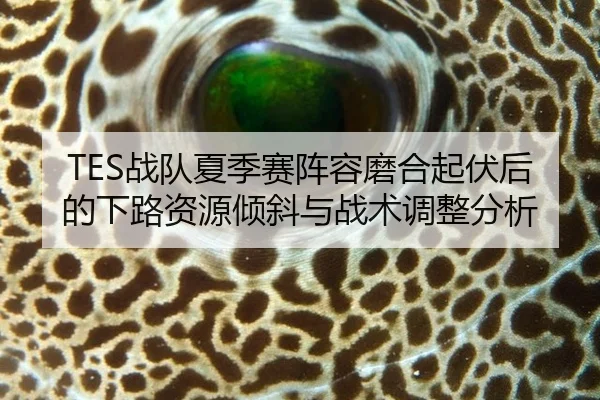 TES战队夏季赛阵容磨合起伏后的下路资源倾斜与战术调整分析